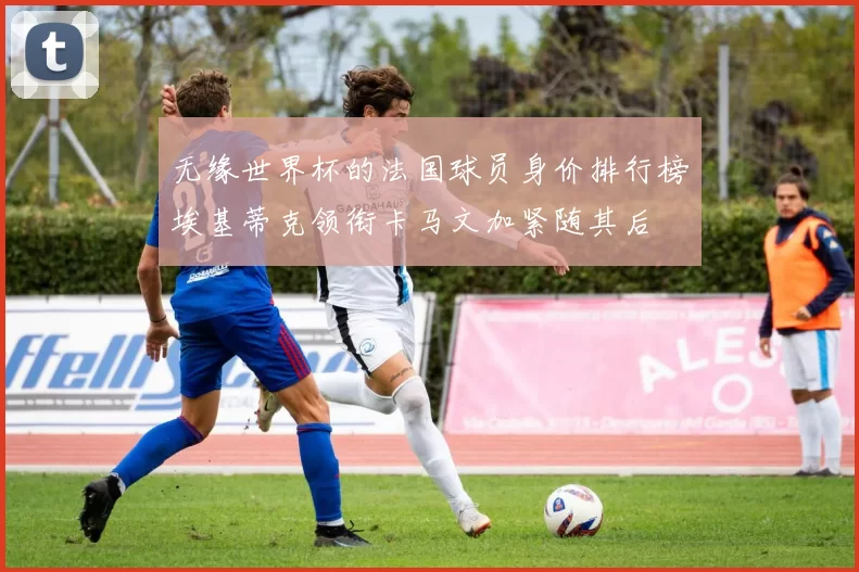 无缘世界杯的法国球员身价排行榜埃基蒂克领衔卡马文加紧随其后